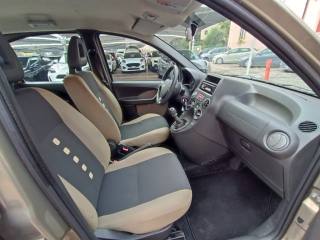 FIAT Panda usata, con Fendinebbia