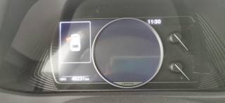 LEXUS UX 250h usata, con Cruise Control
