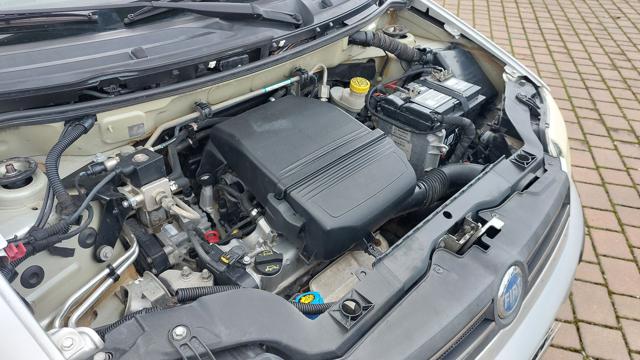 FIAT Panda usata 14
