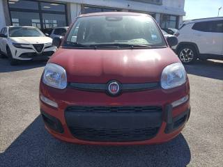 FIAT Panda usata, con Airbag