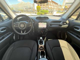 JEEP Renegade usata, con Riconoscimento dei segnali stradali