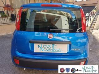 FIAT Panda usata, con Controllo trazione