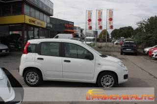 FIAT New Panda usata, con Servosterzo