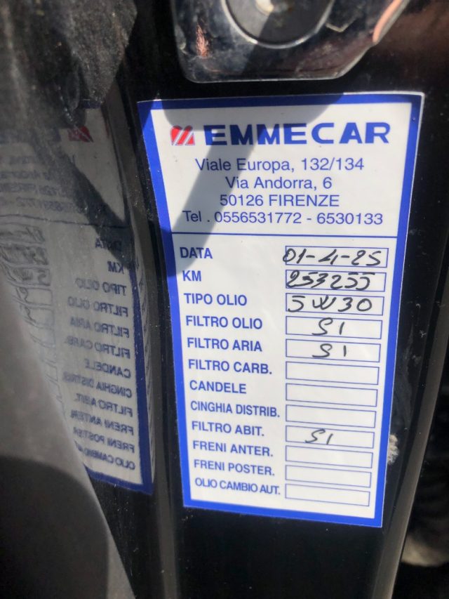 RENAULT Scenic usata 18