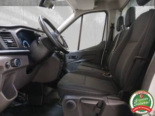 FORD Transit usata, con Bracciolo