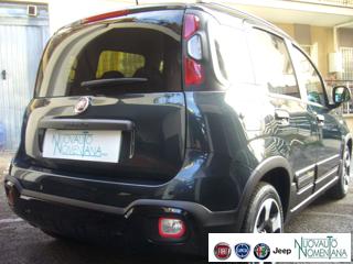 FIAT Panda Cross usata, con Fendinebbia