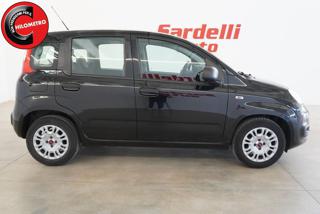 FIAT Panda usata, con Alzacristalli elettrici