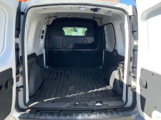 RENAULT Kangoo usata, con Fendinebbia