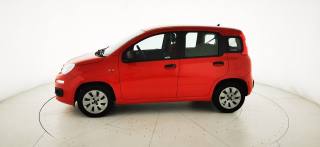 FIAT Panda usata, con Airbag Passeggero