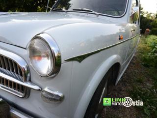 FIAT 1100 usata 25