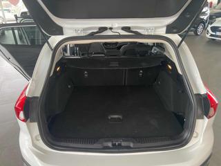 FORD Focus usata, con Fendinebbia