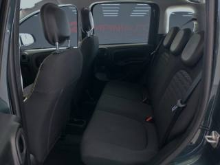 FIAT Panda usata 14