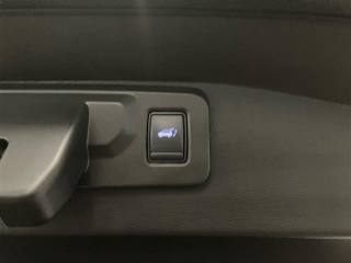 RENAULT Austral usata 28