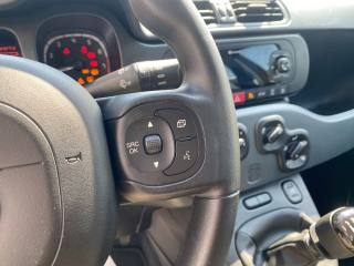 FIAT Panda usata, con Fendinebbia
