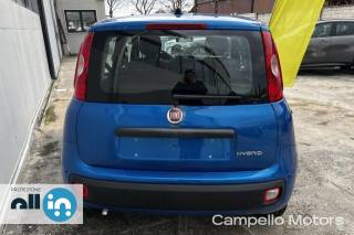 FIAT Panda usata 2