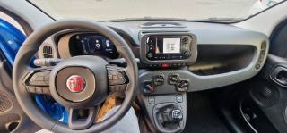 FIAT Panda usata, con Antifurto