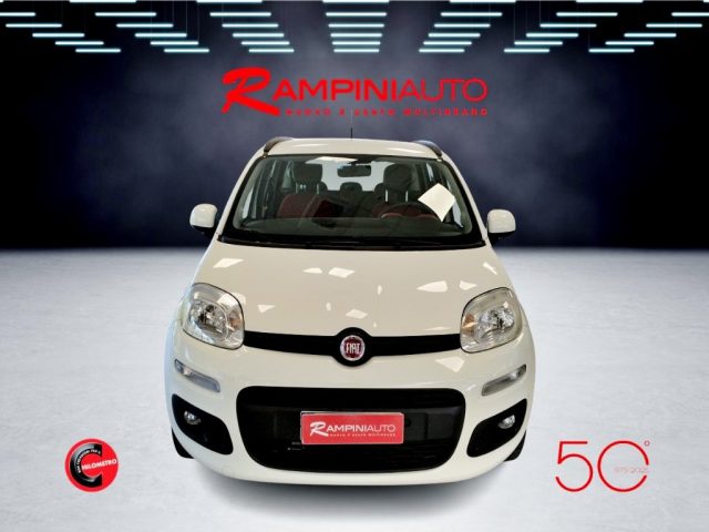 FIAT Panda usata 2