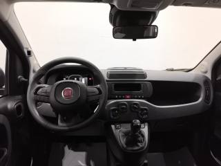 FIAT Pandina usata, con Riconoscimento dei segnali stradali