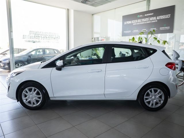 FORD Fiesta usata 4