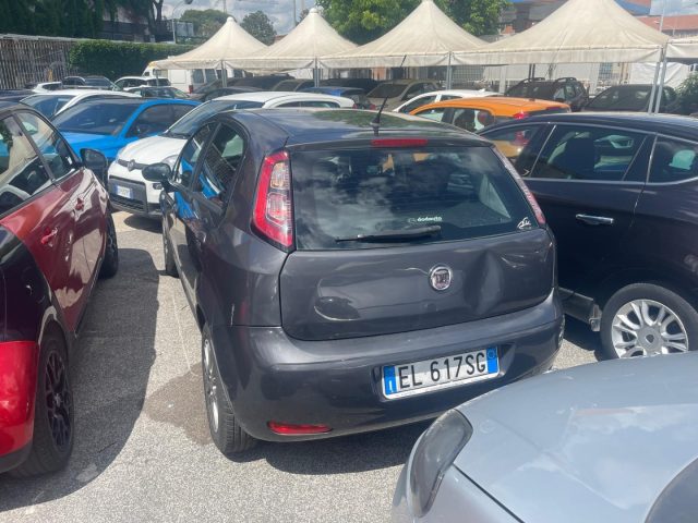 FIAT Punto usata, con Cerchi in lega