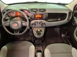 FIAT Panda usata 8