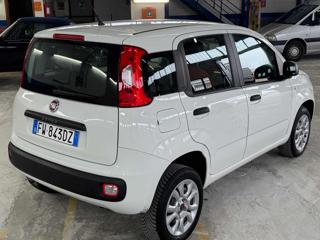 FIAT Panda usata, con Climatizzatore