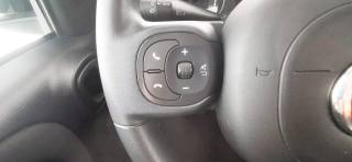 FIAT Panda usata 43