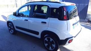 FIAT Panda Cross usata, con Chiusura centralizzata