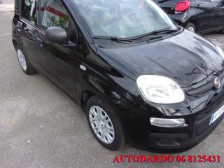 FIAT Panda usata, con Antifurto