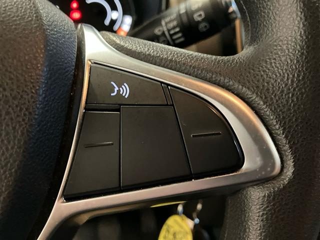 DACIA Spring usata 17