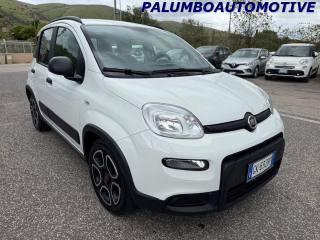 FIAT Panda usata, con Airbag Passeggero