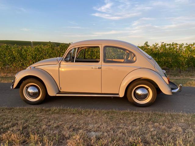 VOLKSWAGEN Maggiolino usata 1