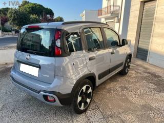 FIAT Panda usata 11