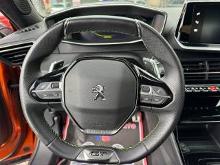 PEUGEOT 2008 usata, con Cronologia tagliandi