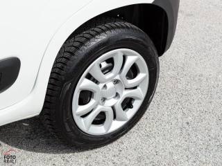 FIAT Panda usata 24
