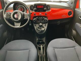 FIAT 500 usata 8