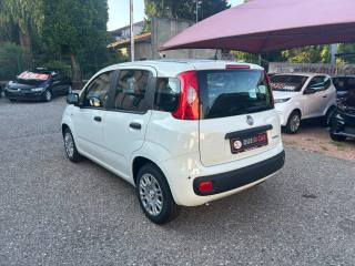 FIAT Panda usata, con Antifurto