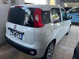 FIAT Panda usata, con Alzacristalli elettrici