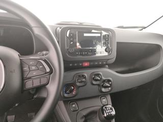 FIAT Panda usata, con Cruise Control