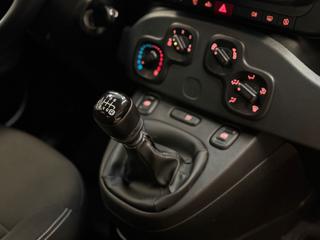 FIAT Panda usata, con Bracciolo