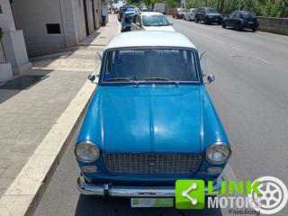 FIAT 1100 usata 24