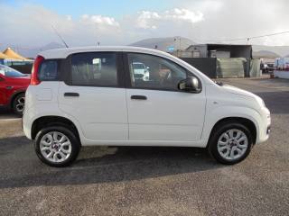 FIAT Panda usata 11