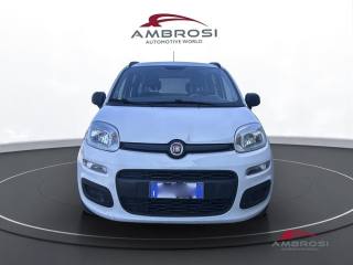 FIAT Panda usata 6