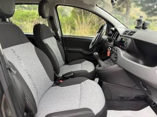 FIAT Panda usata, con USB