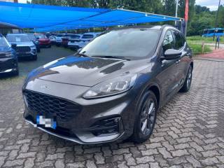 FORD Kuga 2.0 EcoBlue 120 CV aut. 2WD ST-Line