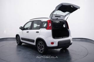 FIAT New Panda usata 29