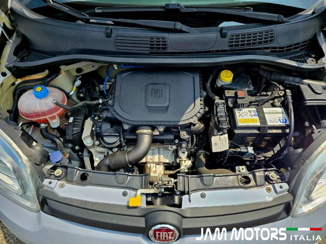 FIAT Panda usata 14