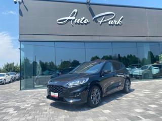 FORD Kuga 2.0 EcoBlue 120 CV aut. 2WD ST-Line