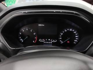 FORD Focus usata, con Servosterzo