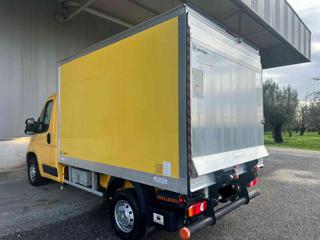 FIAT Ducato usata, con Servosterzo